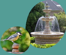 N°24 - De l'eau pour nos oiseaux